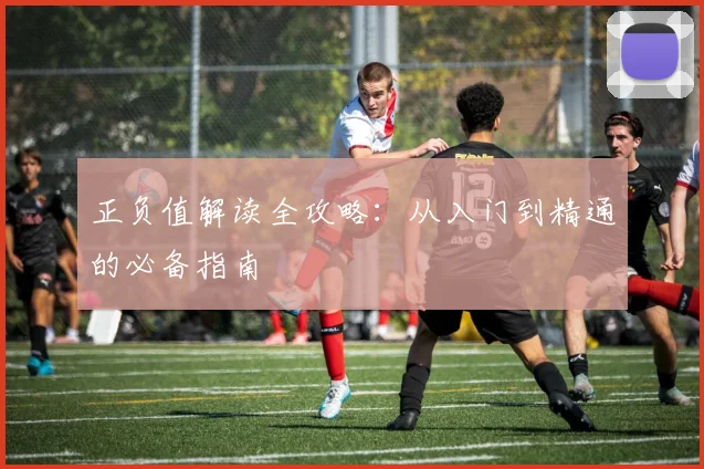 正负值解读全攻略:从入门到精通的必备指南