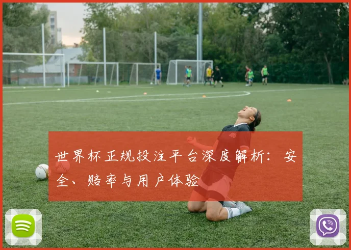 世界杯正规投注平台深度解析:安全、赔率与用户体验