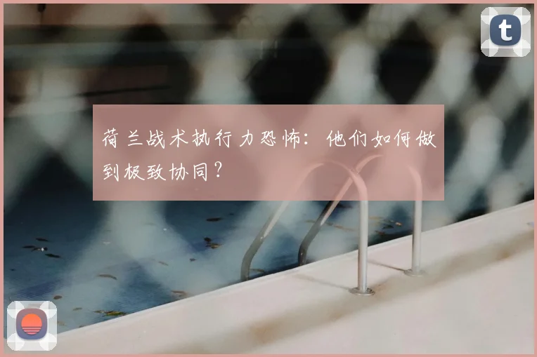 荷兰战术执行力恐怖：他们如何做到极致协同？