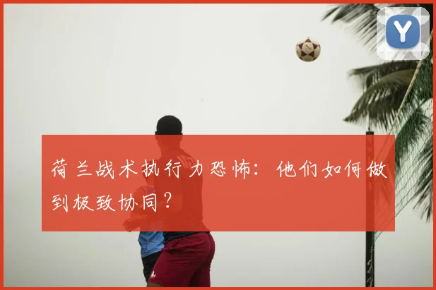 荷兰战术执行力恐怖:他们如何做到极致协同?